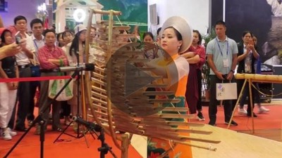 世界上最独特的越南京族竹琴表演—《东南亚国家民族歌舞荟萃》